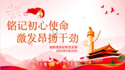 救援帅气王子