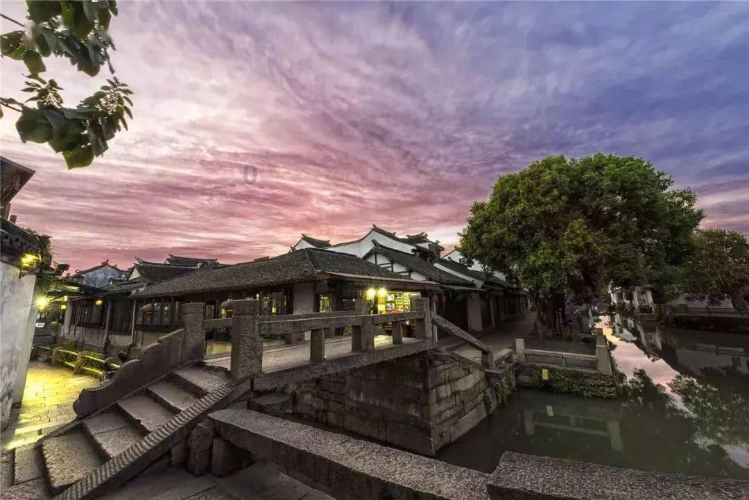 厉害了我的巧虎8